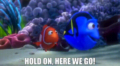YARN | Hold on, here we go! | Finding Nemo | Video gifs by quotes |  03d860cc | 紗