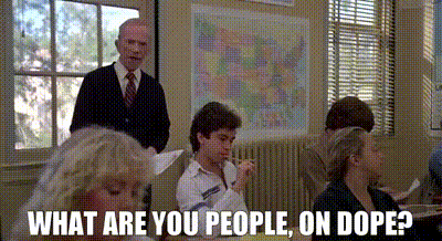 YARN | What are you people, on dope? | Fast Times at Ridgemont High (1982)  | Video gifs by quotes | 04dc3fbe | 紗