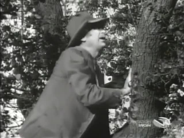 Now, Ellie Mae, it just don't seem fitting for the president of a big corporation to have to get his secretary out of a tree.