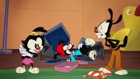 ‐ Let's watch Animaniacs!