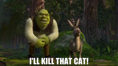Shrek Cat GIFs