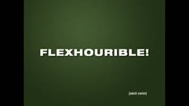 Flex hour. Finally, there's a wide array of perks. Daily toilet paper allowance,