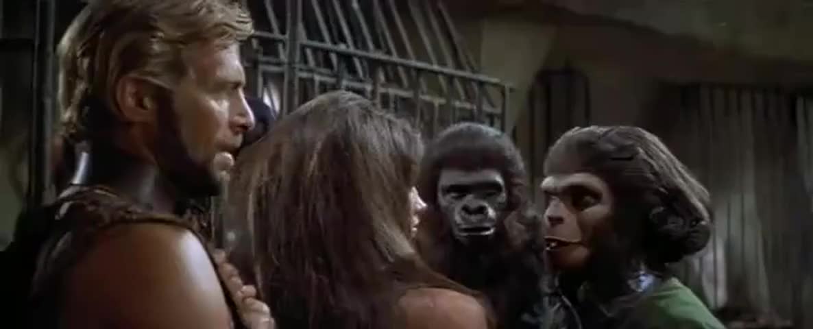 Quiz for Planet of the Apes Quiz screenshot