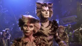 ♪ What's a Jellicle Cat?