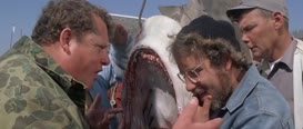 Quiz for What line is next for "Jaws"?