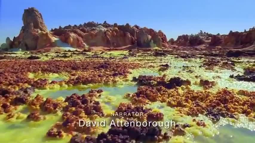 Quiz for What line is next for "Planet Earth "? screenshot