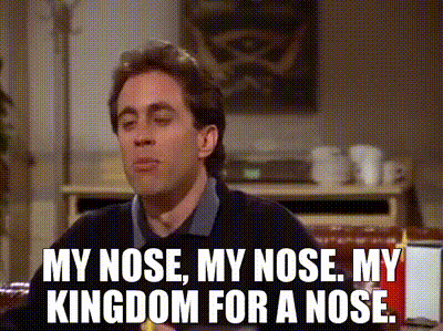 YARN, I can't stand around here watching you destroy yourself!, Seinfeld  (1989) - S03E09 The Nose Job, Video gifs by quotes, 248e831e