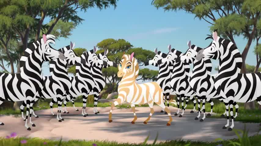 Zebras! Frolic and romp!