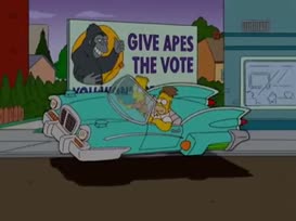 Give Apes the Vote You won't regret it