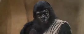 Quiz for Planet of the Apes (1968-1973)
