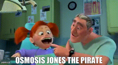 YARN | Osmosis Jones the Pirate | Finding Nemo | Video gifs by quotes |  201dba47 | 紗