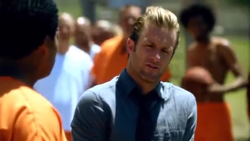Quiz for What line is next for "Hawaii Five-0 "? screenshot