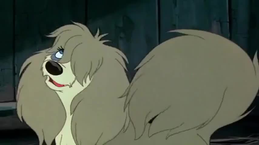Quiz for What line is next for "Lady and the Tramp "? screenshot