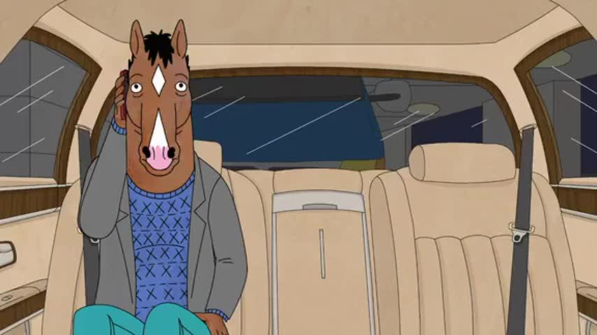 This is BoJack. Horseman. Obviously.