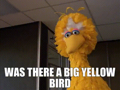 YARN | WAS THERE A BIG YELLOW BIRD | Follow That Bird | Video clips by  quotes | 24a3f866 | 紗