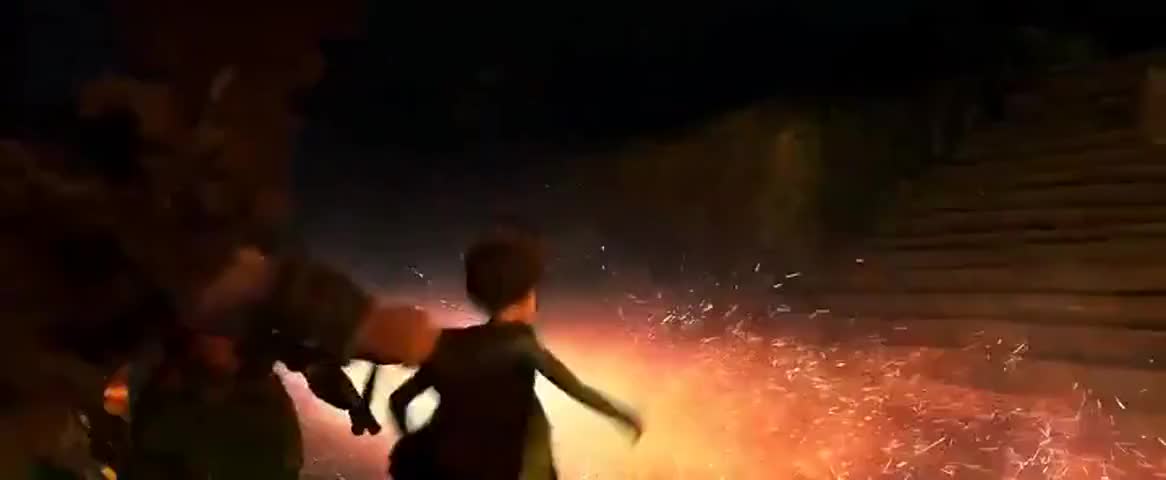Hiccup! What is he doing? What are you doing out?! Get inside!