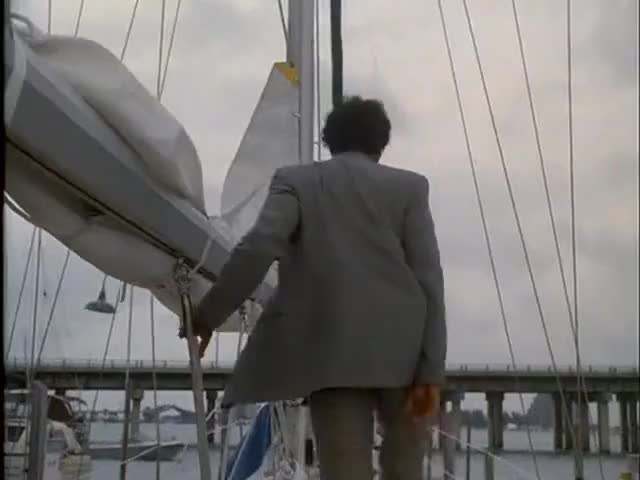 Quiz for What line is next for "Miami Vice "? screenshot