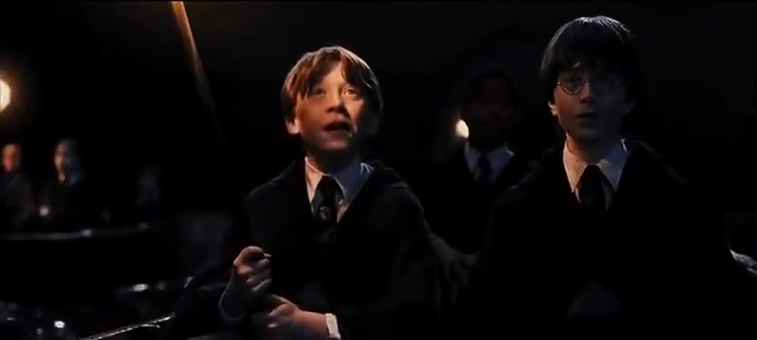 Quiz for What line is next for "Harry Potter and the Sorcerer's Stone "? screenshot