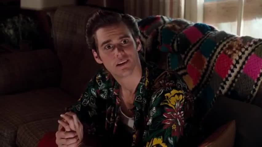 Quiz for What line is next for "Ace Ventura: Pet Detective "? screenshot