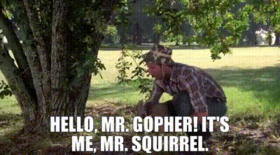 YARN | Hello, Mr. Gopher! It's me, Mr. Squirrel. | Caddyshack (1980) |  Video clips by quotes | 34dd6b1e | 紗