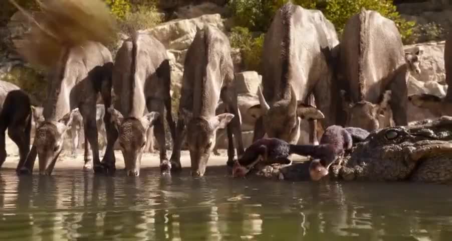 Quiz for What line is next for "The Jungle Book "? screenshot