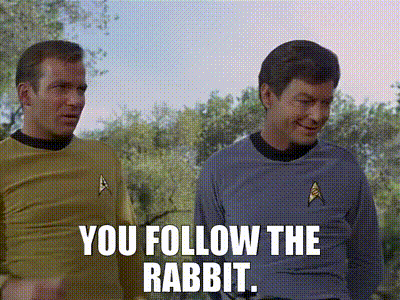 YARN, You follow the rabbit.