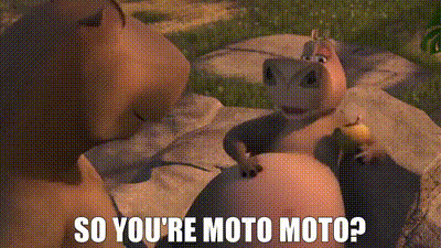 Moto Moto doesn't like you. -   Funny video memes, Funny reaction  pictures, Funny gif