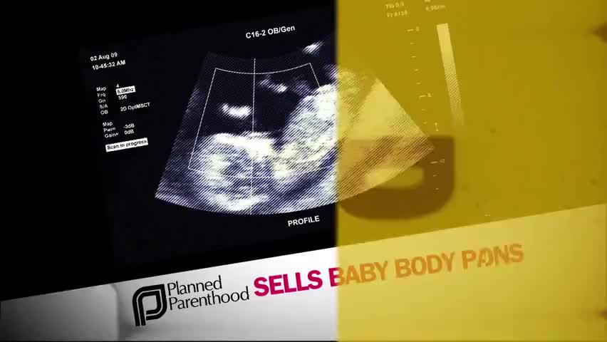 Clip image for 'and south nd com is taking action as a pro life doctor rand