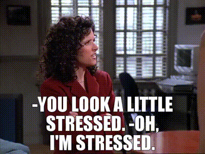 -You look a little stressed. -Oh, I'm stressed.