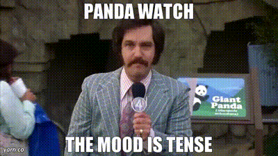YARN | PANDA WATCH The Mood is Tense | Anchorman: The Legend of Ron  Burgundy (2004) | Video gifs by quotes | 3e157599 | 紗