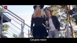 Clip thumbnail for 'Cat goes meow