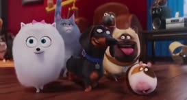 Quiz for What line is next for "The Secret Life of Pets "?
