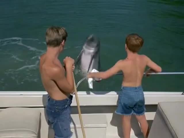 Aw, we're sorry, Flipper.