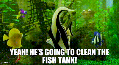YARN, Yeah! He's going to clean the fish tank!