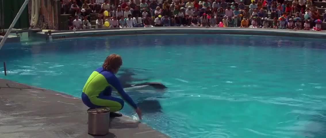YARN | JESSE: Come here, buddy. | Free Willy (1993) | Video clips by ...