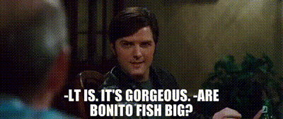 YARN | -lt is. it's gorgeous. -Are bonito fish big? | Step Brothers (2008) | Video gifs by quotes | 4fc4912b | 紗