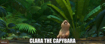 RIO 2  Carla The Capybara! OK I pull up! 
