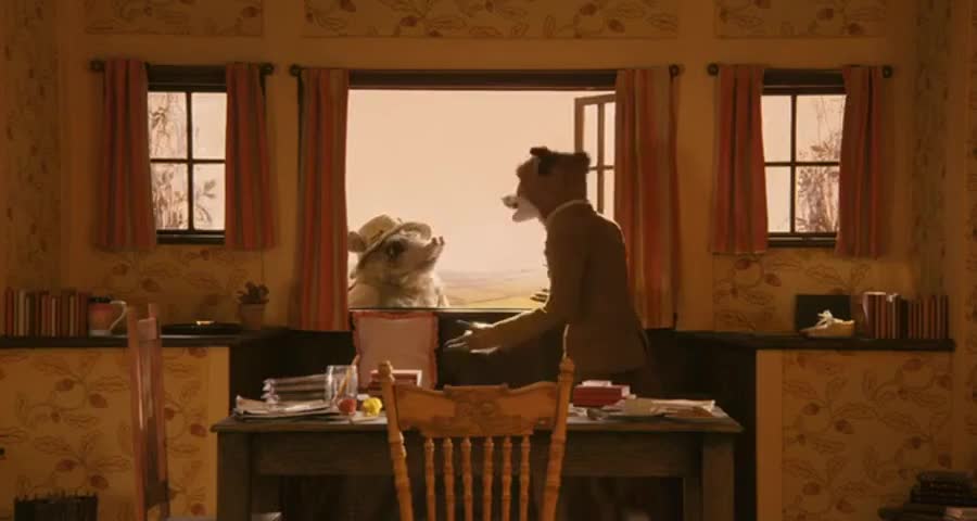 Quiz for What line is next for "Fantastic Mr Fox "? screenshot