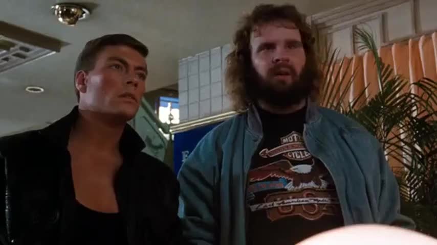 Quiz for What line is next for "Bloodsport "? screenshot