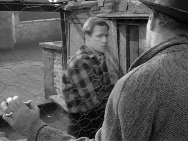 Quiz for What line is next for "On the Waterfront "? screenshot