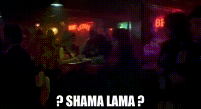 YARN | ? Shama lama ? | Animal House (1978) | Video clips by quotes |  555181ad | 紗