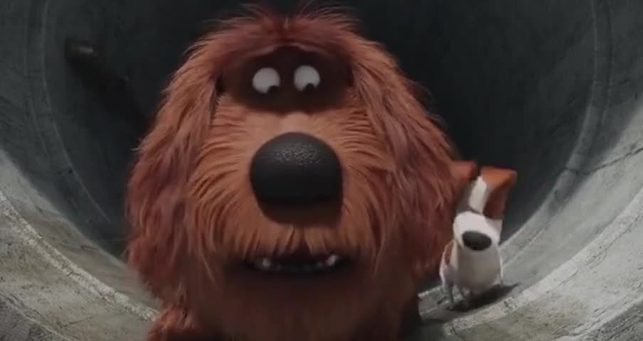 Quiz for What line is next for "The Secret Life of Pets "? screenshot