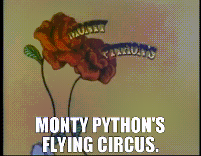 YARN, veni, vidi, vici., Monty Python's Flying Circus (1969) - S01E02, Video gifs by quotes, 8475a787
