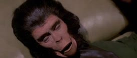 Quiz for Planet of the Apes Quiz