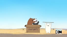 Free bears! Free bears here!