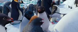 Quiz for What line is next for "Happy Feet 2 "?