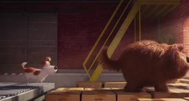 Quiz for What line is next for "The Secret Life of Pets "?