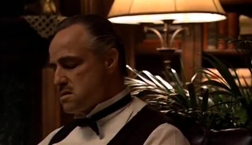 Quiz for What line is next for "The Godfather "? screenshot