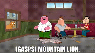 YARN | (gasps) Mountain lion. | Family Guy (1999) - S11E19 Comedy | Video  gifs by quotes | 69445638 | 紗
