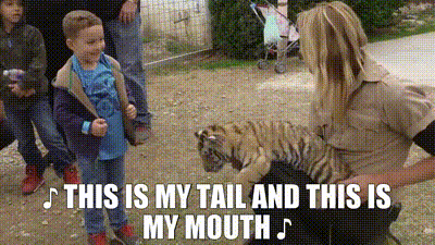 YARN | ♪ This is my tail And this is my mouth ♪ | Tiger King () - S01E01  Not Your Average Joe | Video gifs by quotes | 6ea11093 | 紗